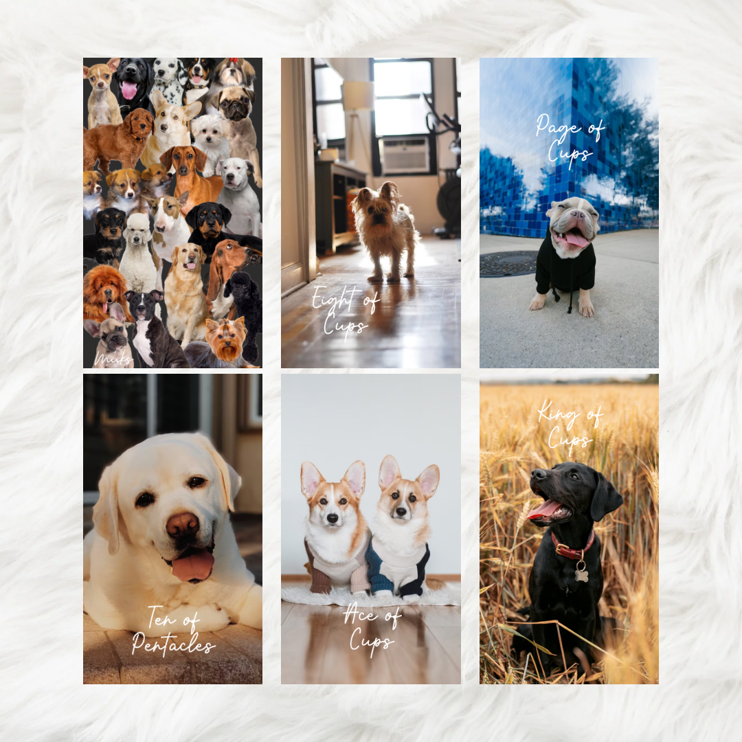 Dog Tarot Deck (78 cards) *MADE TO ORDER*