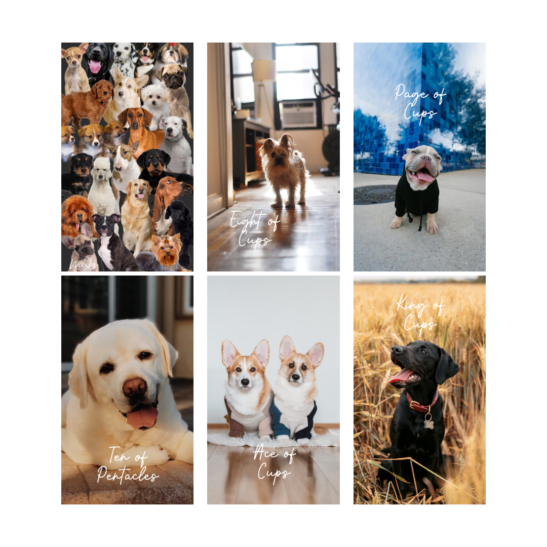 Dog Tarot Deck (78 cards) *MADE TO ORDER*