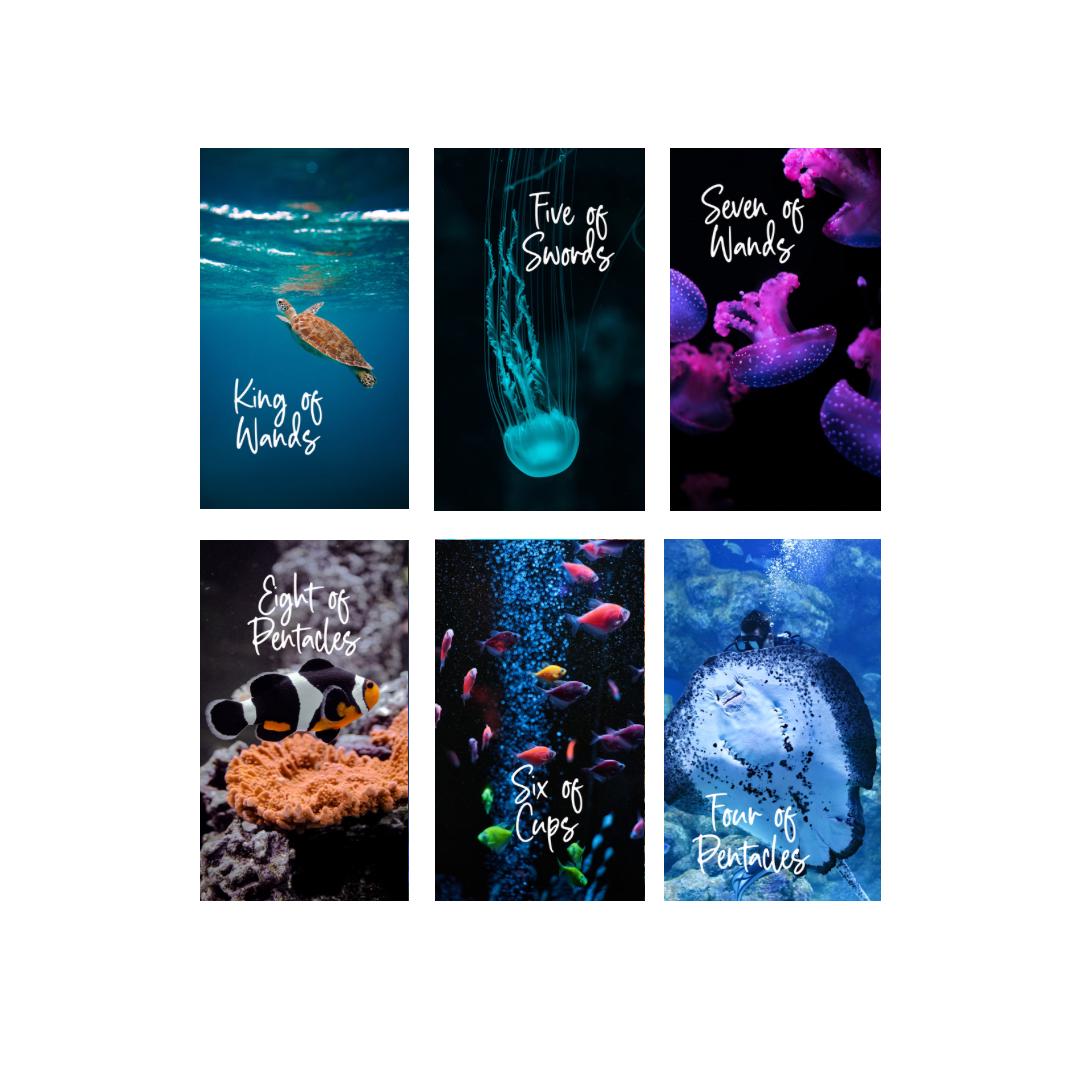 The Underwater Tarot Deck (78 cards)*MADE TO ORDER*