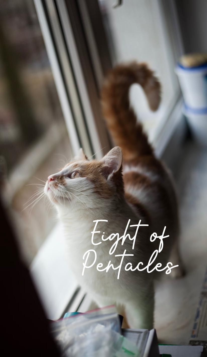 Cat Tarot Deck (78 cards) *MADE TO ORDER*
