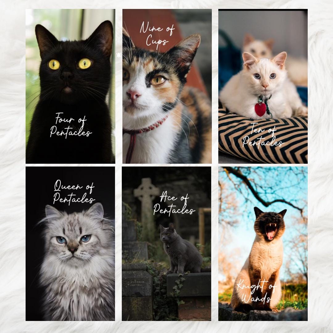 Cat Tarot Deck (78 cards) *MADE TO ORDER*