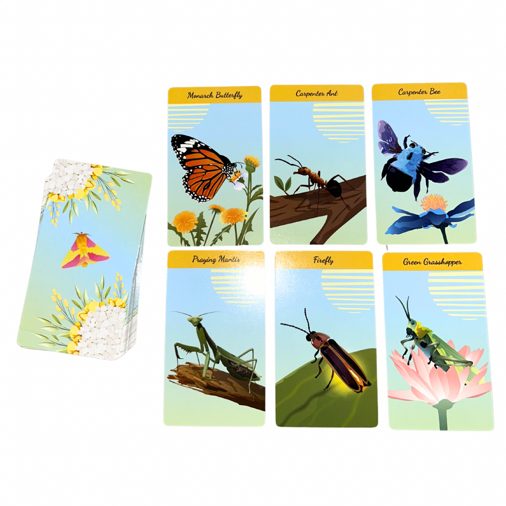 The Insect Oracle Deck