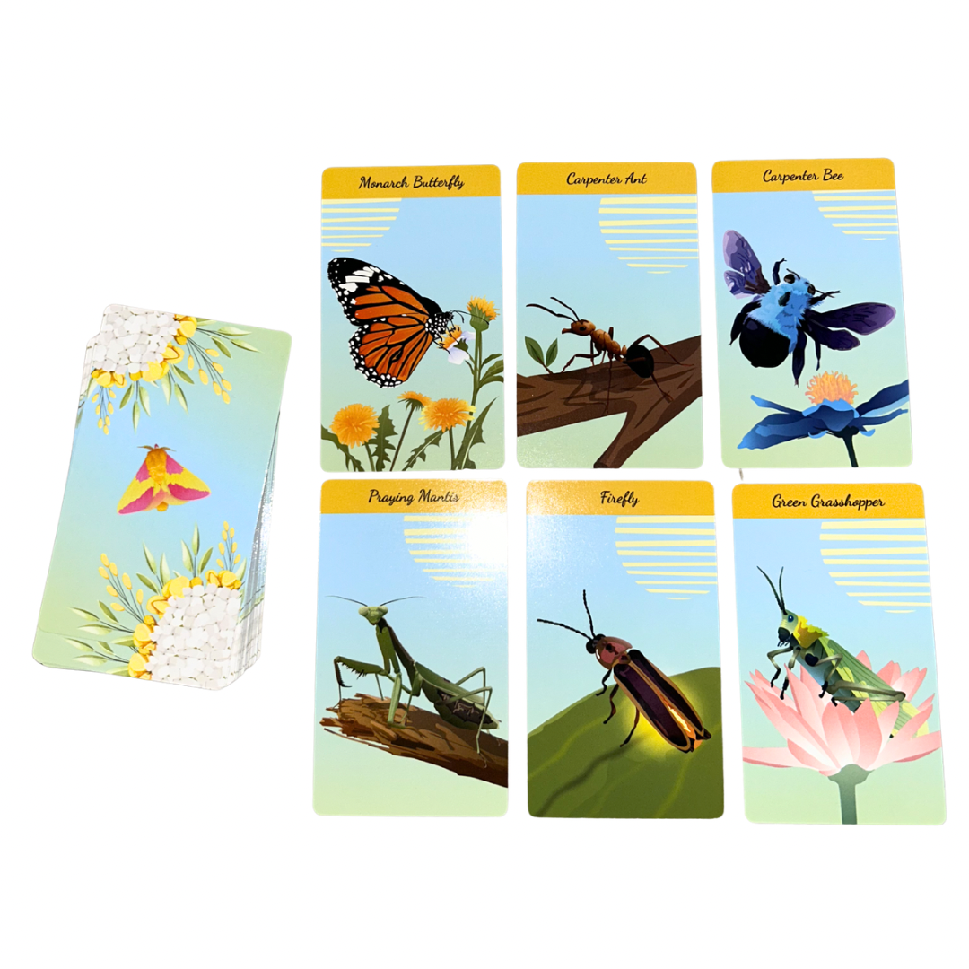 The Insect Oracle Deck