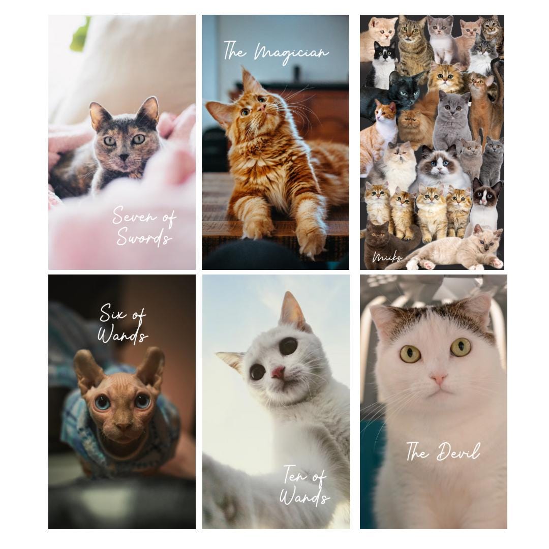 Cat Tarot Deck (78 cards) *MADE TO ORDER*