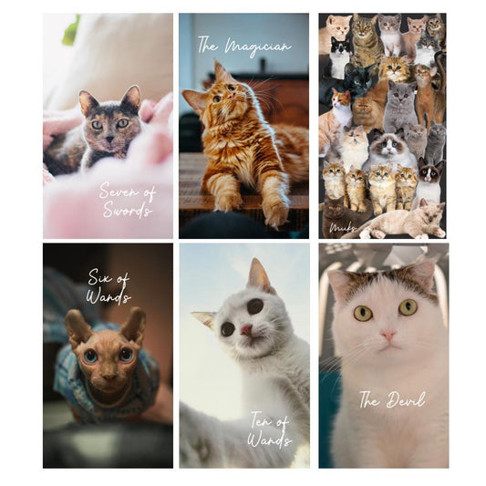Cat Tarot Deck (78 cards) *MADE TO ORDER*